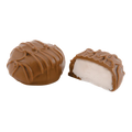 Milk Vanilla Cream