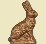 Chocolate Bunnies